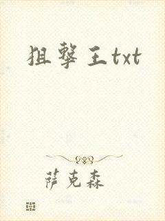 狙击王txt