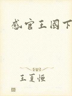 感官王国下载