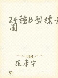 24种B型标意图