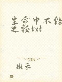 生命中不能承受之轻txt
