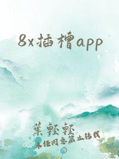 8x插槽app