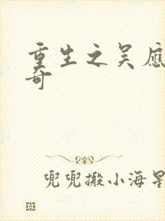 重生之吴应熊传奇