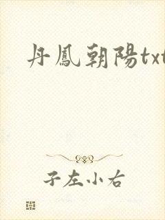 丹凤朝阳txt