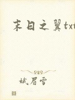 末日之翼txt