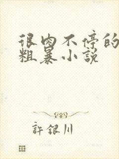 很肉不停的做很粗暴小说