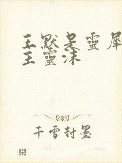 王默是灵犀阁公主灵沫