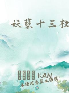 妖孽十三枚