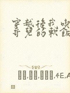 穿越后我吃到了哥儿的软饭炉山灰