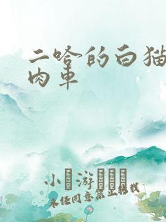 二哈的白猫师尊肉车