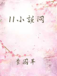 11小说网