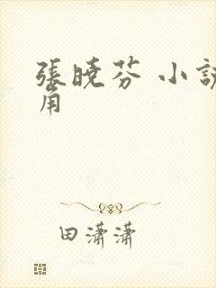 张晓芬 小说主角