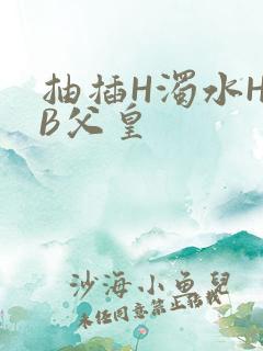 抽插H浊水H嫩B父皇