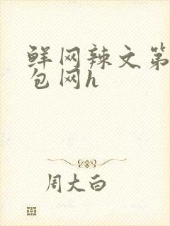 鲜网辣文第二书包网h