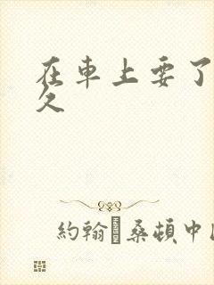 在车上要了我很久