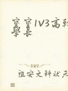 宝宝1V3高干学长