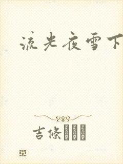 流光夜雪下载