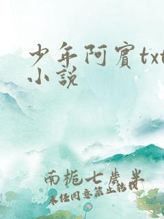 少年阿宾txt小说