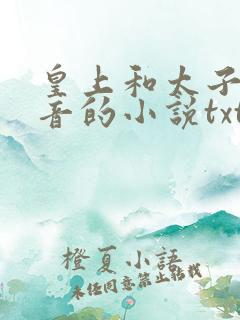 皇上和太子妃沈音的小说txt