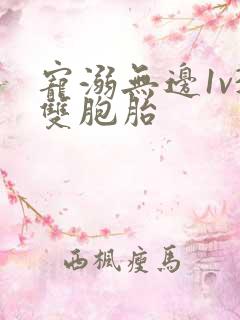 宠溺无边1v3双胞胎