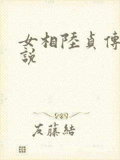 女相陆贞传奇小说