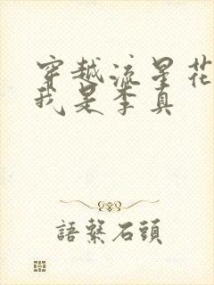 穿越流星花园之我是李真