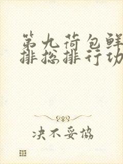 第九荷包鲜辣肉排总排行功能介绍