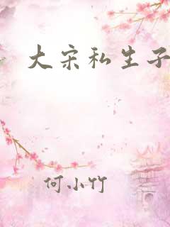 大宋私生子