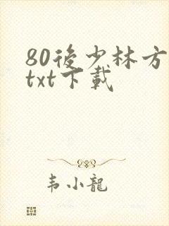 80后少林方丈txt下载