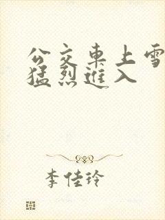 公交车上雪柔被猛烈进入