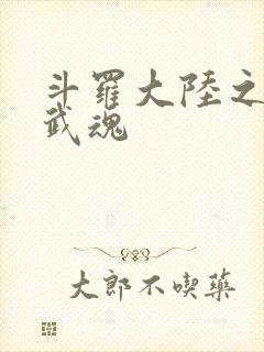 斗罗大陆之三生武魂