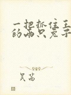 一把抓住王昭君的两只兔子