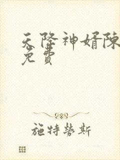 天降神婿陈黄皮免费