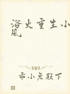 浴火重生小说陈风