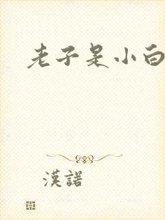 老子是小白脸