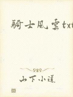 骑士风云txt