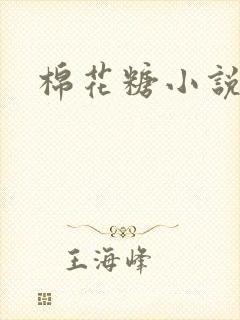 棉花糖小说下载