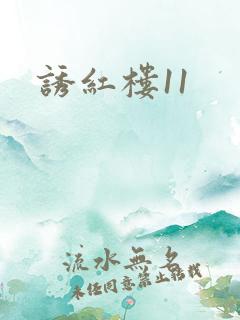 诱红楼11