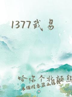 1377武易