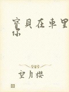 宝贝在车里想要你