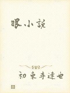 眼小说