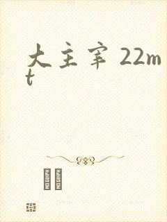 大主宰 22mt