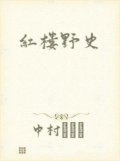 红楼野史