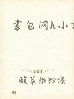 书包网h小说