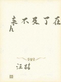 来不及了在车ch