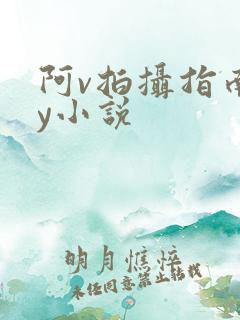 阿v拍摄指南by小说