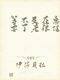 等不及在车里就要了老狼信息