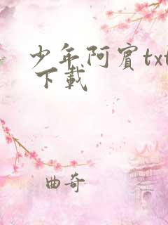 少年阿宾txt 下载