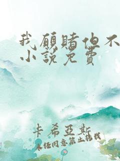 我愿赌但不服输小说免费