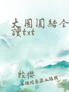 大团圆结全文阅读txt