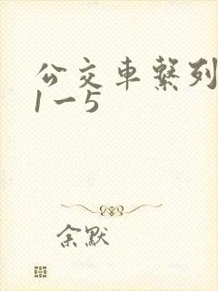 公交车系列合集1一5